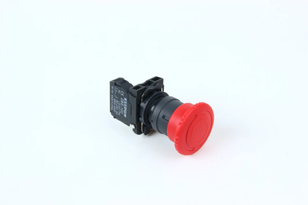 Push Button Switch 19mm 10A